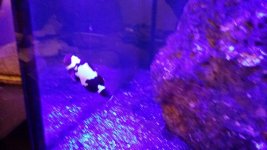 20131216_202136_resized.jpg