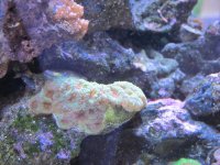 IMG_0673.jpg IMG_0673.jpg