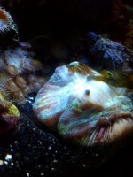 IMG_20130515_190211.jpg