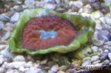 IMG_1876.jpg