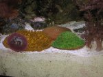 IMG_1438.jpg