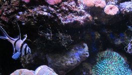 IMG_1938.jpg
