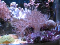 IMG_1451.jpg