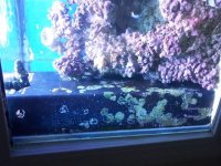 over flow inside tank.jpg