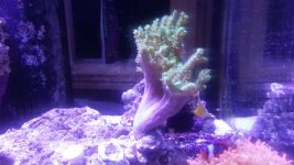 20130928_215359.jpg