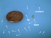 ImageUploadedByTapatalk1376675380.442648.jpg ImageUploadedByTapatalk1376675380.442648.jpg