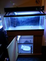 20130627_154818.jpg