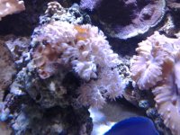20130926_1928491701037360.jpg