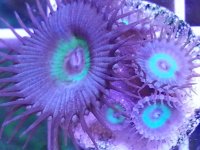 20130826_155718(0)749340401.jpg