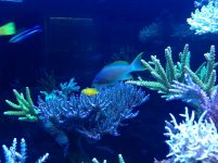 IMG_0006_3.jpg