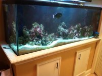 210G Tank.jpg