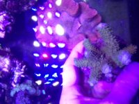 image(2).jpeg