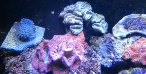 IMG_1828.jpg