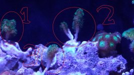 20130628_143834.jpg