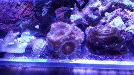 20130628_144133.jpg