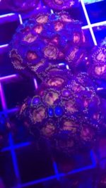photo (10).jpg