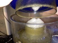 photo skimmer.JPG
