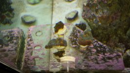 20130725_174631.jpg
