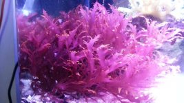 20130716_174348.jpg