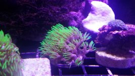 20130819_020046.jpg