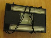 IMG_1756.jpg