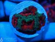 IMG_6761.jpg