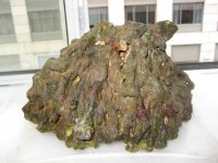 rock3.jpg