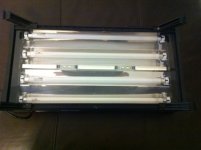 light2.JPG