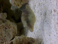 IMG-20130808-00675.jpg