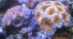 IMG_1767.jpg