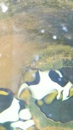 2014-0-27 22-19-50.jpg