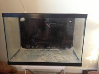 Optimized-IMG_2197.jpg