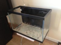Optimized-IMG_2198.jpg