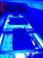 ImageUploadedByReefs1372644133.408707.jpg