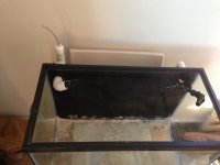 Optimized-IMG_2201.jpg