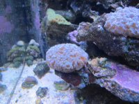 IMG_0674.jpg