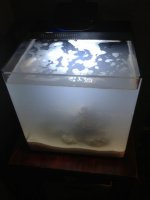ImageUploadedByReefs1368918505.009602.jpg