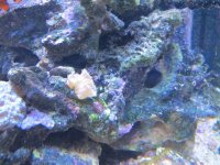 IMG_0676.jpg