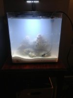 ImageUploadedByReefs1368918517.924657.jpg