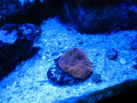 IMG_0685.jpg