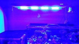 20140120_165828_resized.jpg