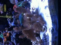 IMG_1322.jpg