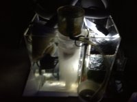ImageUploadedByReefs1372701126.709191.jpg