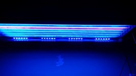 20140120_170006_resized.jpg