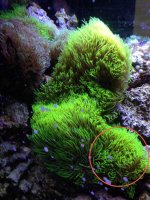 IMG_3256.jpg