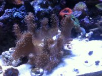 IMG_6417.jpg