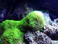 IMG_3257.jpg