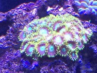 IMG_6258.jpg