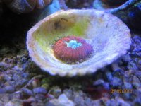 IMG_1724.jpg