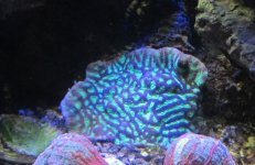 IMG_1802.jpg